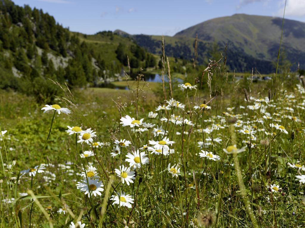 Schi- Und Wanderhotel Berghof Bad Kleinkirchheim Buitenkant foto